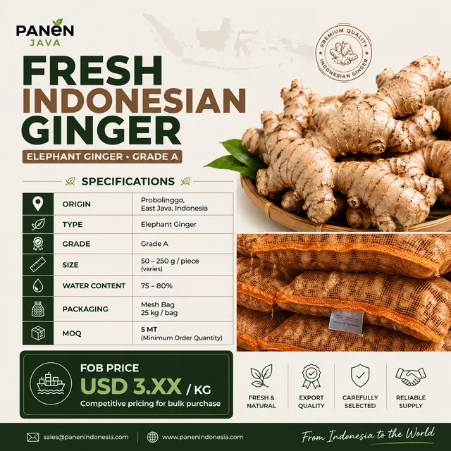 Close-up Elephant Ginger Texture