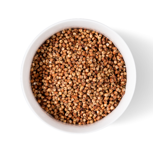 Premium Sorghum Grain