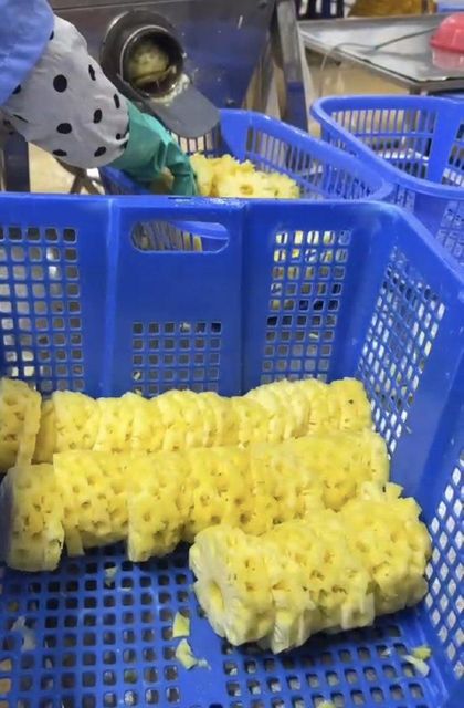 Canned Pineapple Image 1
