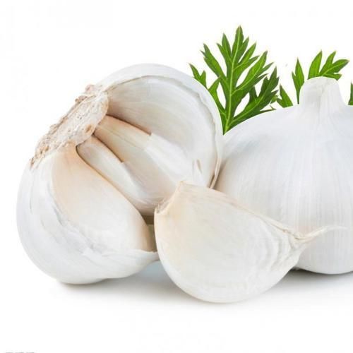 Garlic Image 4