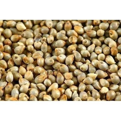 Natural Pearl Millet Grain