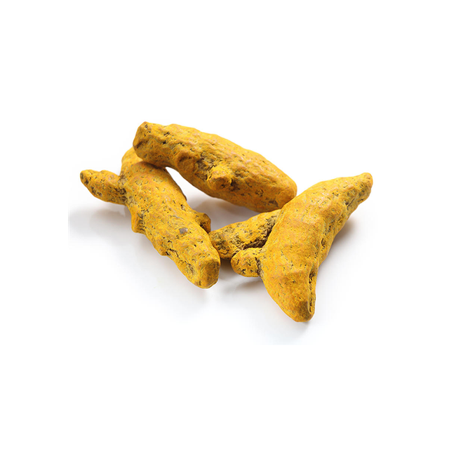 Turmeric Fingers - Front View