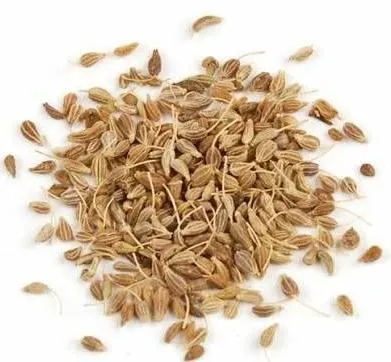 Close-up of Anise Seeds