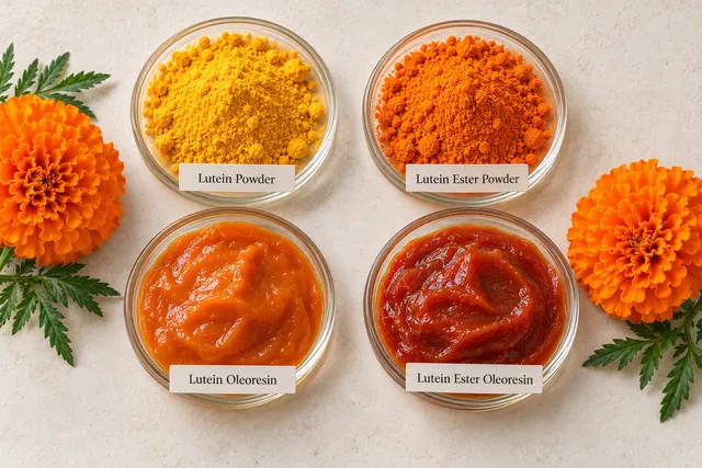 Lutein Ester Product Image 4