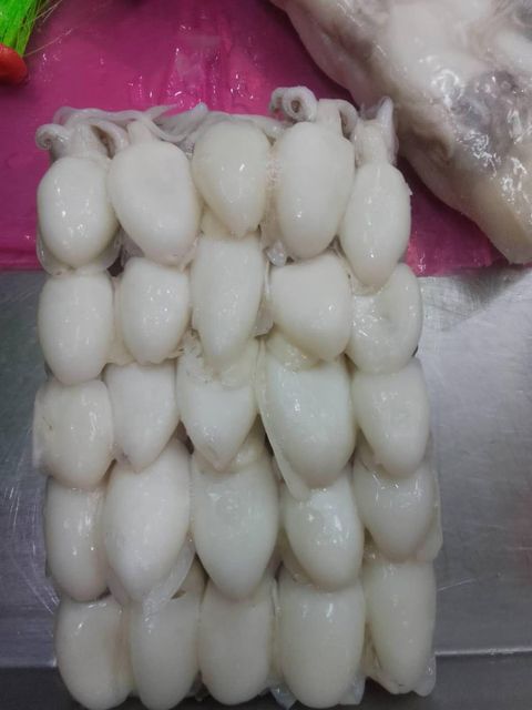 Frozen Baby Cuttlefish Whole Cleaned