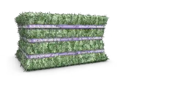Premium Alfalfa Hay