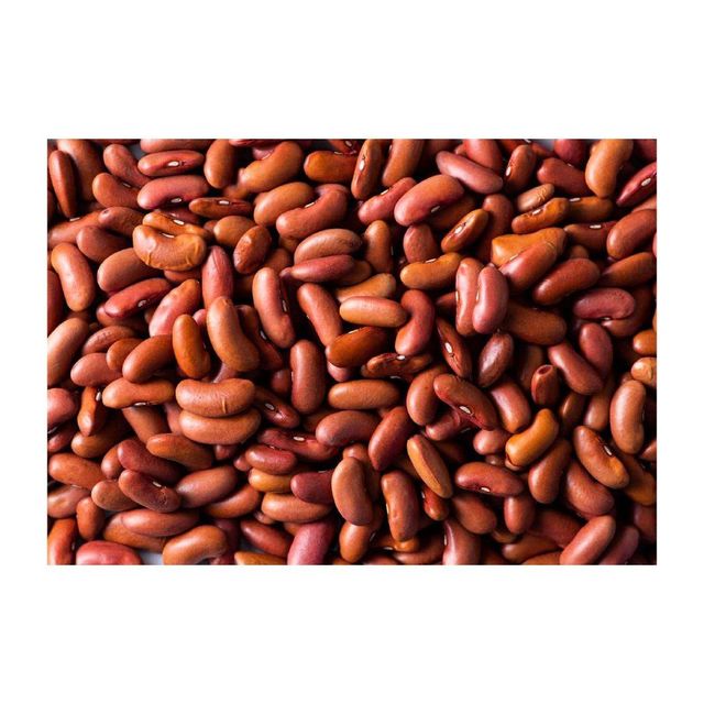 Canned kidney beans in a can