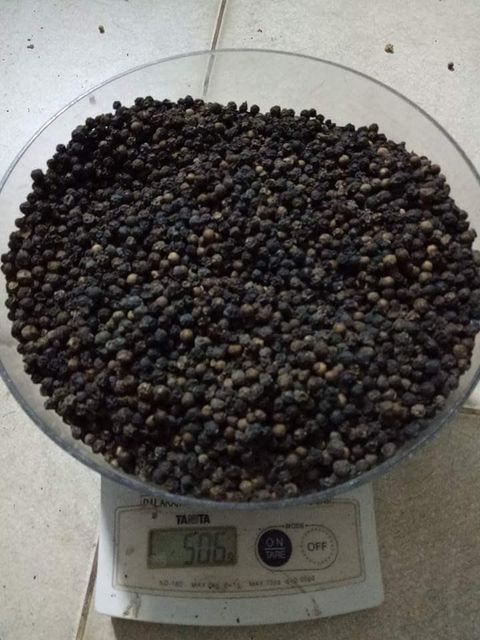 Black Pepper Ground Powder