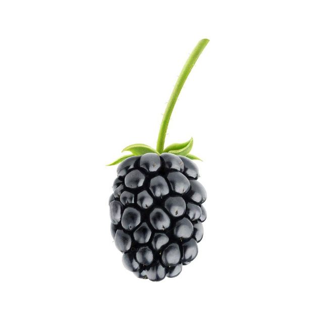 Fresh blackberries in a basket