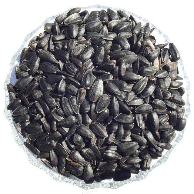 Sunflower Seeds Close-up