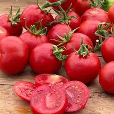 Hand holding a shiny ripe red tomato