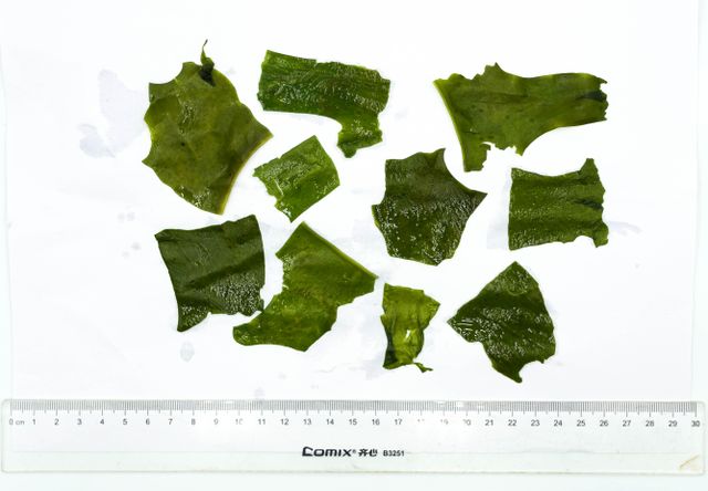 Dried Cut Wakame Image 1