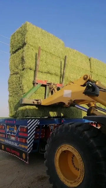 Alfalfa Product
