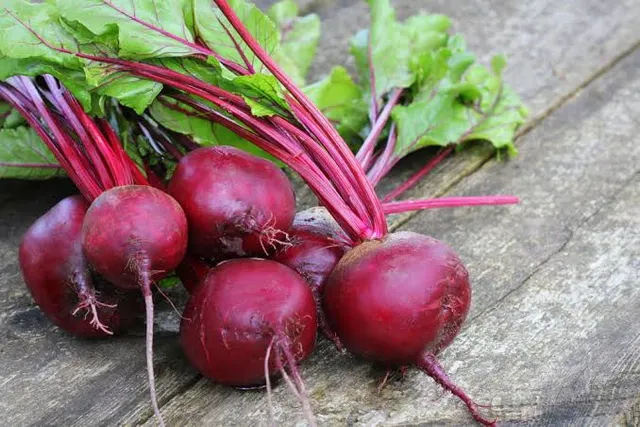 Bulk Organic Beetroot - Image 5