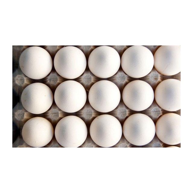Other Bird Eggs