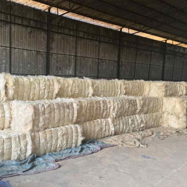 Raw Sisal Fiber Image 2