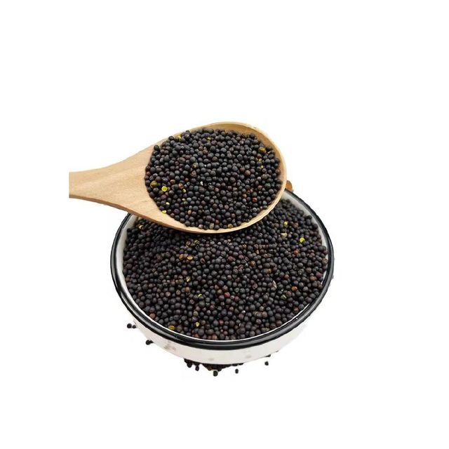 Canola Seeds Image 3