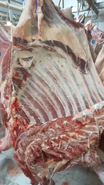Fresh Chilled Bull Beef Cut 2