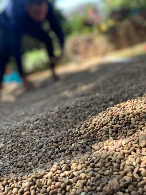 Arabic Coffee Beans Package 1