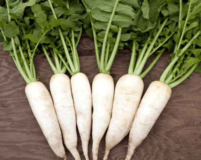 Crisp radish slice