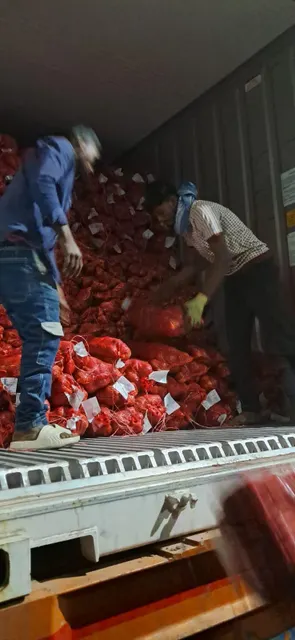 Packed Nasik Indian Onions