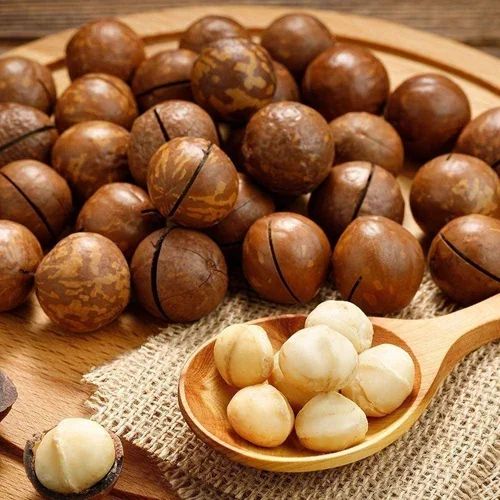 Premium Raw Macadamia Nuts 4