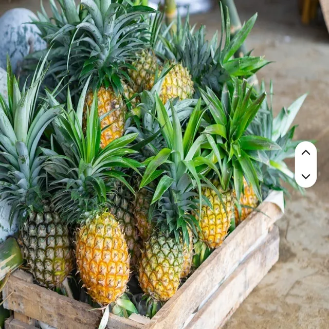 Queen Pineapple fruit with leaves