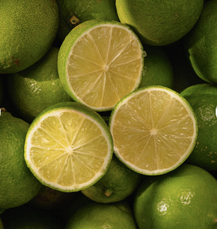 Fresh Navel Orange