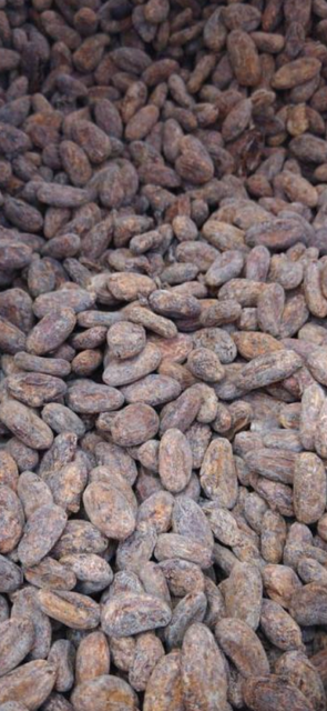 Cocoa Product