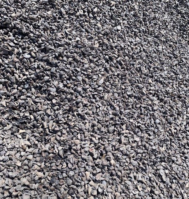 Palm Kernel Shell
