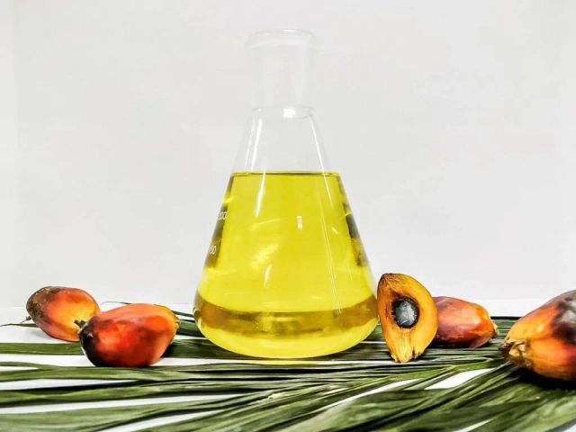 Natural CP 10 Palm Oil Close-up