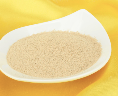 Dry Yeast - Factory Price