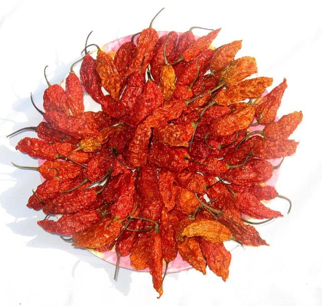 Ghost Pepper Powder
