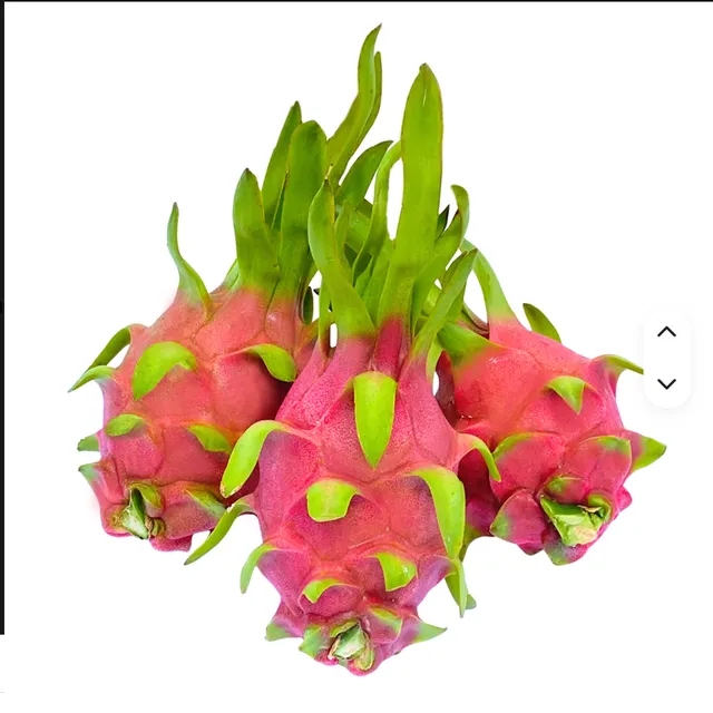 Export Quality Fresh Dragon Fruit by NELLY