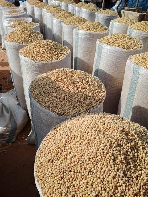 Soya Bean Product