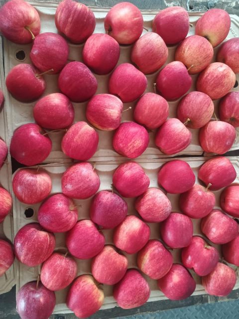 Fresh Apple Product 2