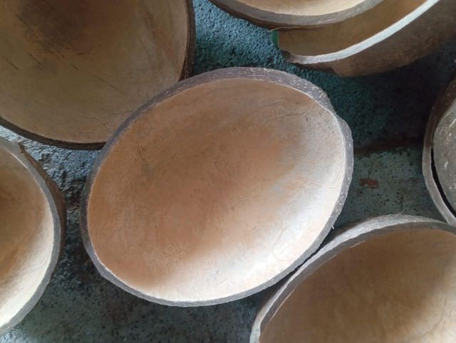 Coconut Shell Oval Ice Cream Cup - Image 2
