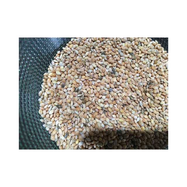 Yellow Millet Image 3