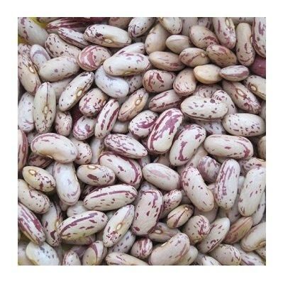 Bulk Sugar Beans in Storage
