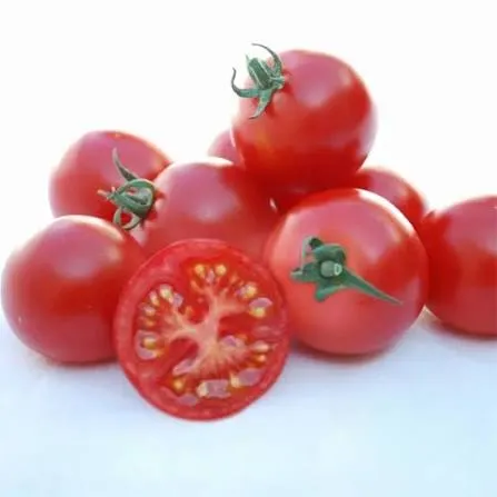 Bulk tray packed with fresh red tomatoes