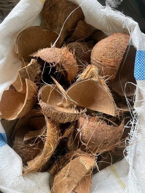 Coconut shell product
