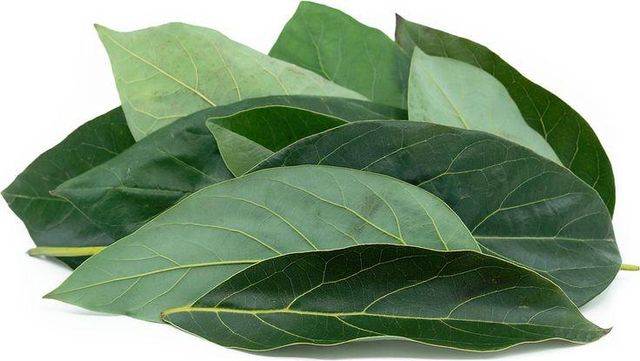 Natural Dried Leaf