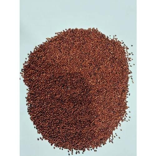 Finger Millet Grain - Bulk Packaging