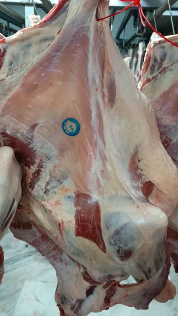 Fresh Bull Beef Meat Detail