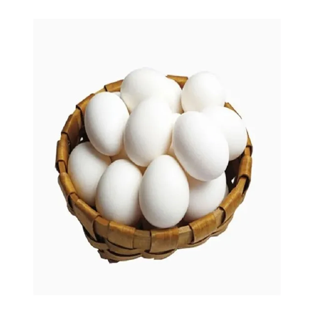 Premium White Table Egg – SABA Grade A