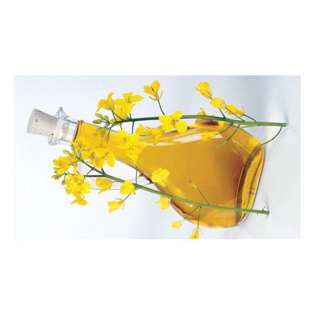 Canola Oil in Storage