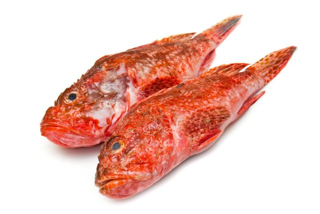 Fresh Fish Image 1