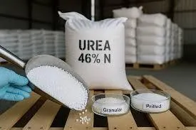 Truck Loading Urea Bags for Shipping