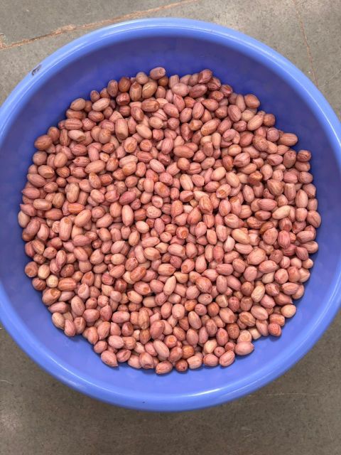 Peanut TJ 80/90 50/60
