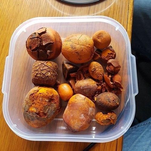 Ox Gallstone Image 1